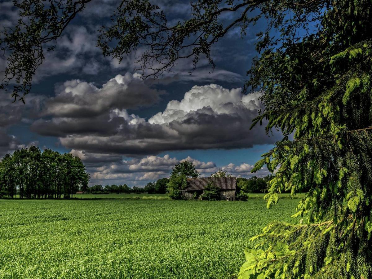 Staying In A Thatched Barn With Box Bed Beautiful View Region Achterhoek Geesteren  Экстерьер фото